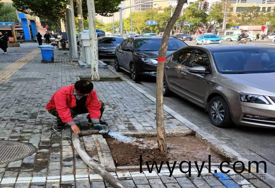 七(qi)裏(li)河區(qū)園林綠化所全(quan)麵(mian)開(kāi)展鞦季(ji)苗(miao)木補(bǔ)栽工(gong)作(zuo)